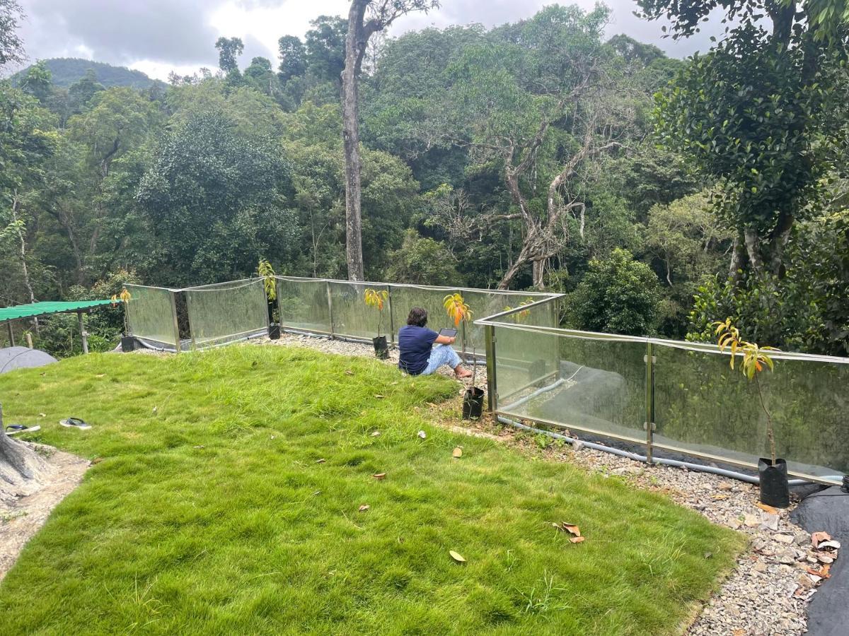 Rai'S Coorg Cave House Villa Madikeri Exterior photo