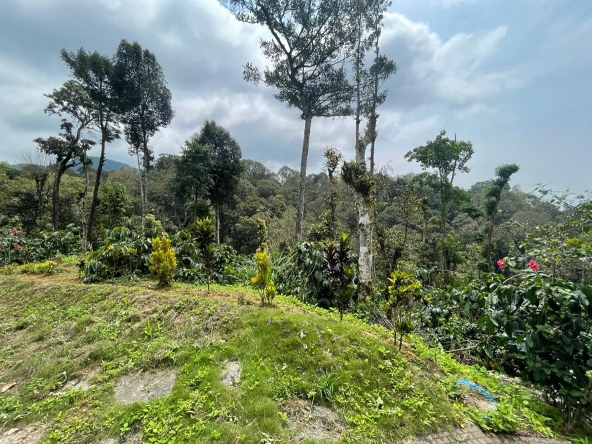 Rai'S Coorg Cave House Villa Madikeri Exterior photo